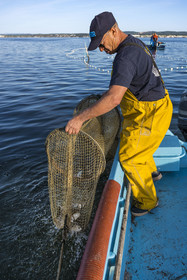 France, Hérault (34), Sète, quartier de la Pointe Courte, le pêcheur Robert Rumeau relève ses filets sur l'étang de Thau