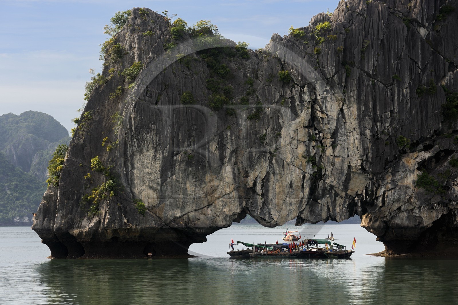 Vietnam, province de Quang Ninh, la Baie d'Halong classée Patrimoine Mondial de l'UNESCO, regroupement de bateaux de pêche sous une arche naturelle d'un ilot calcaire