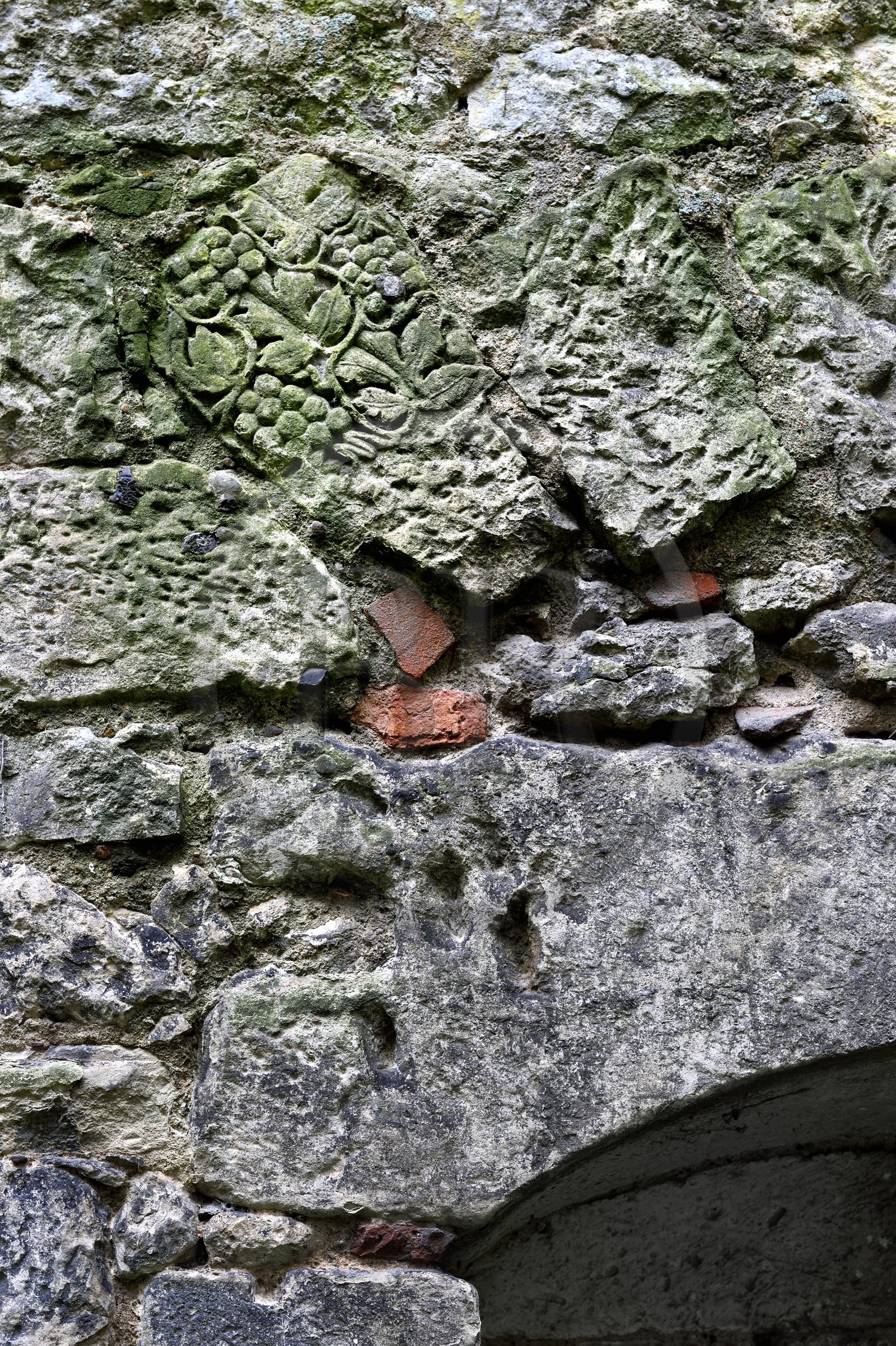 France, Dordogne, White Perigord, Perigueux, district of La Cité or also of Vesone, ruins of the Barriere castle, detail of a Roman stone reused