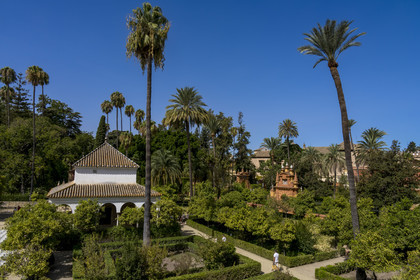 Espagne, Andalousie, Séville, Alcazar de Séville (Reales Alcazares de Sevilla), classé Patrimoine Mondial de l'UNESCO, les jardins et le pavillon de Carlos V