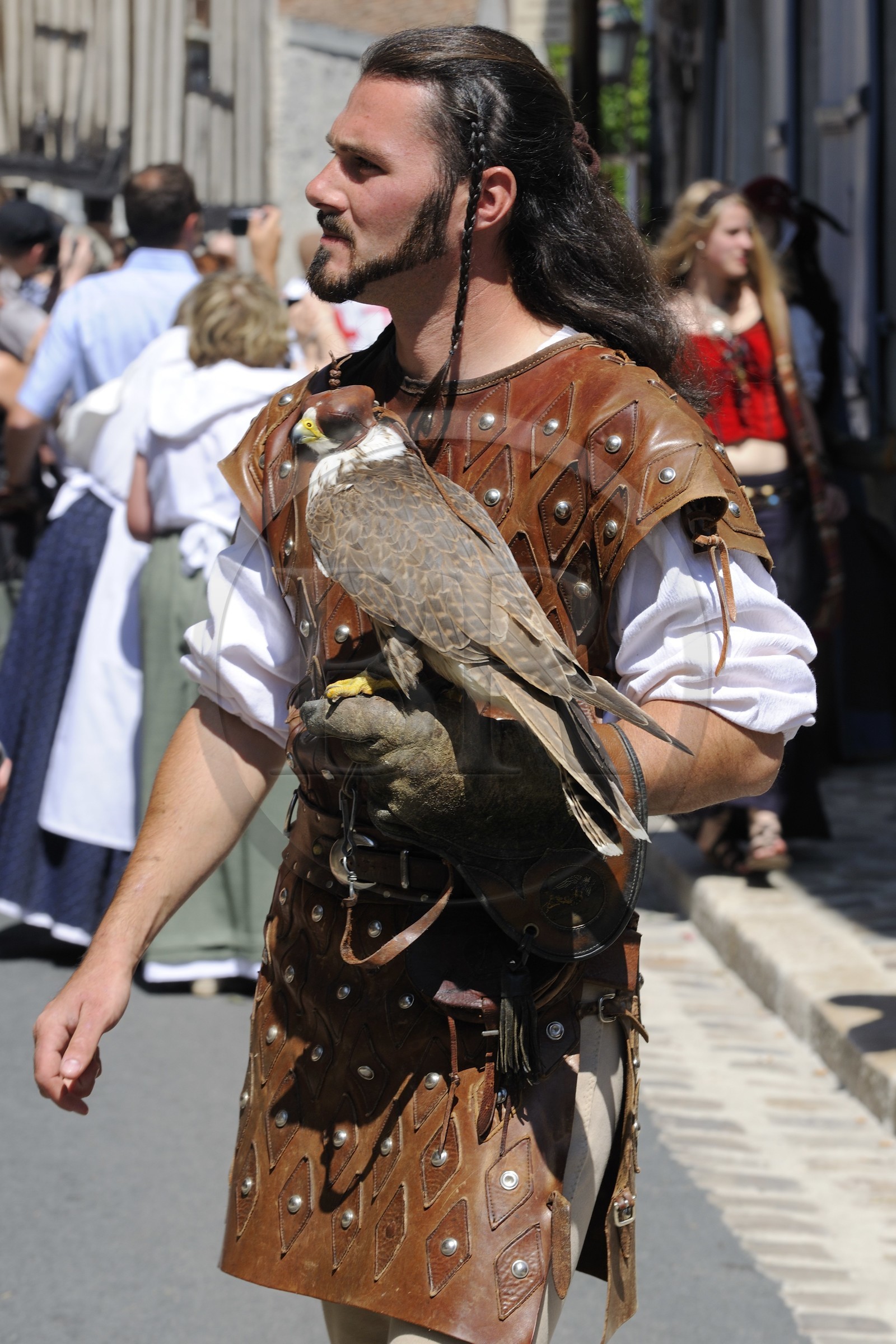 France, Seine et Marne (77), Les Médiévales de Provins, ville classée Patrimoine Mondial de l'UNESCO, fauconniers des Aigles de Provins