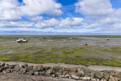 France, Vendee, Noirmoutier island, Barbatre, the sea at low tide in front of the dyke between the Port de Bonhomme and the Passage du Gois