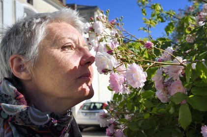 France, Charente-Maritime (17), Saintonge, Saint-Savinien,