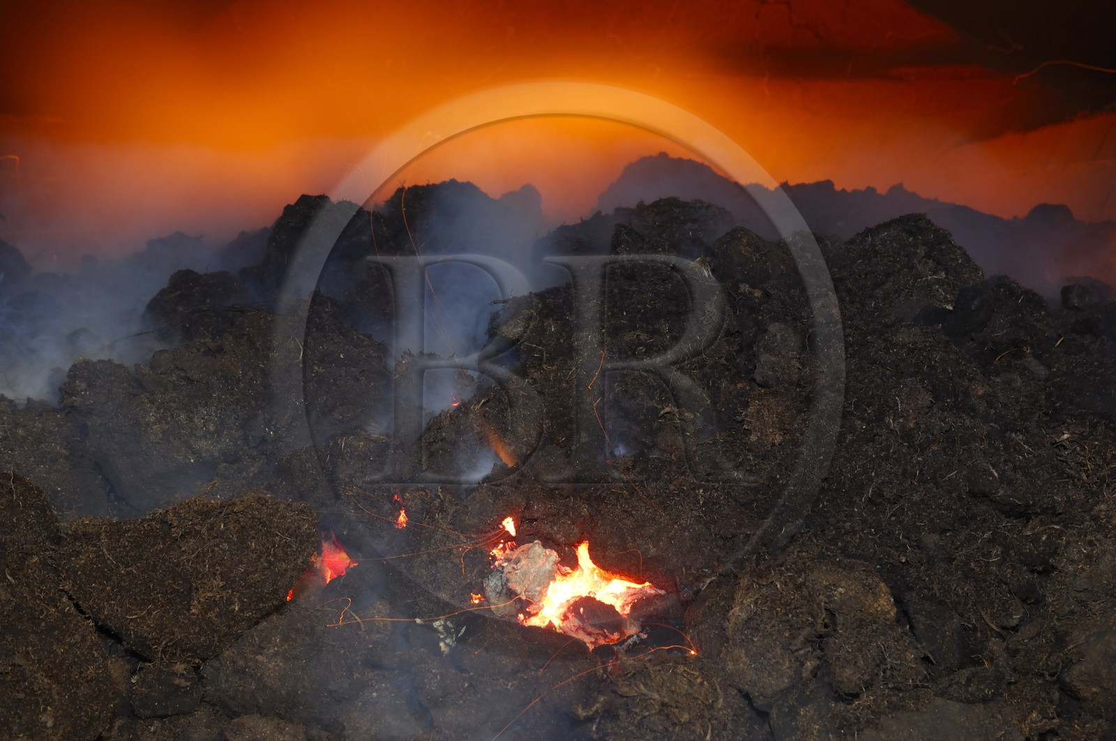 Royaume-Uni, Ecosse, Iles Orcades, Kirkwall, distillerie de whisky Highland Park, feu de tourbe