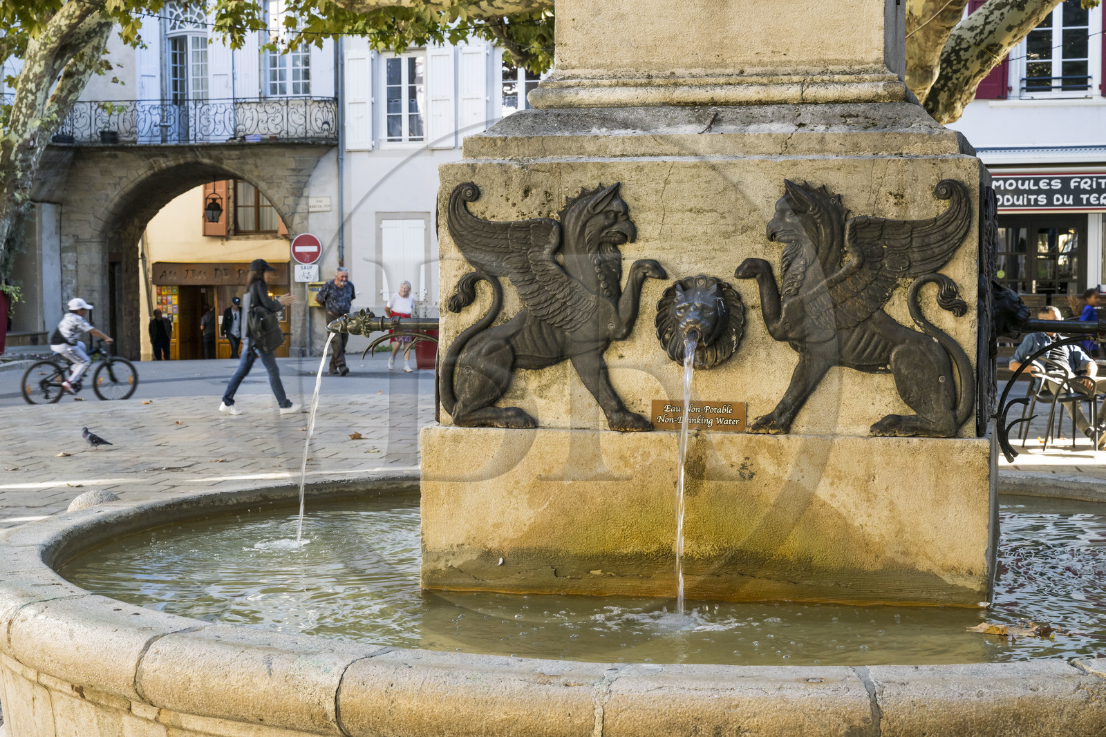 France, Aveyron, Millau, the lion fountain place du Marechal Foch