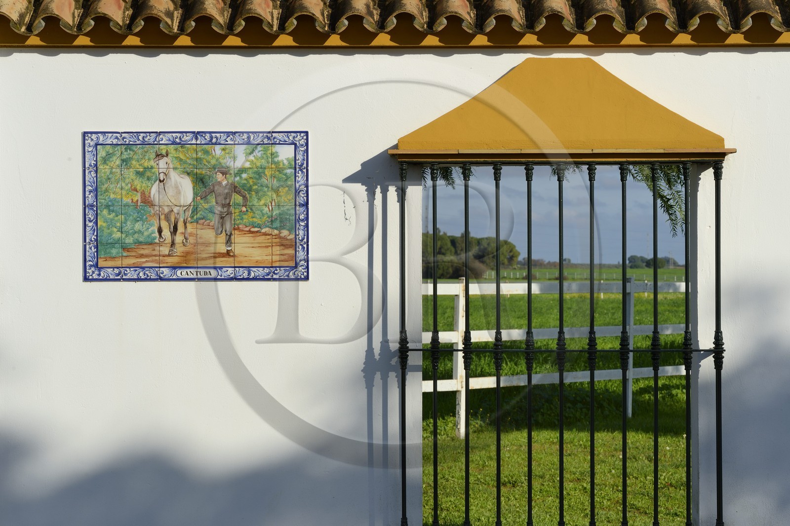 Spain, Andalusia, Seville Province, Utrera, the Ayala stud farm (Yeguada Ayala)