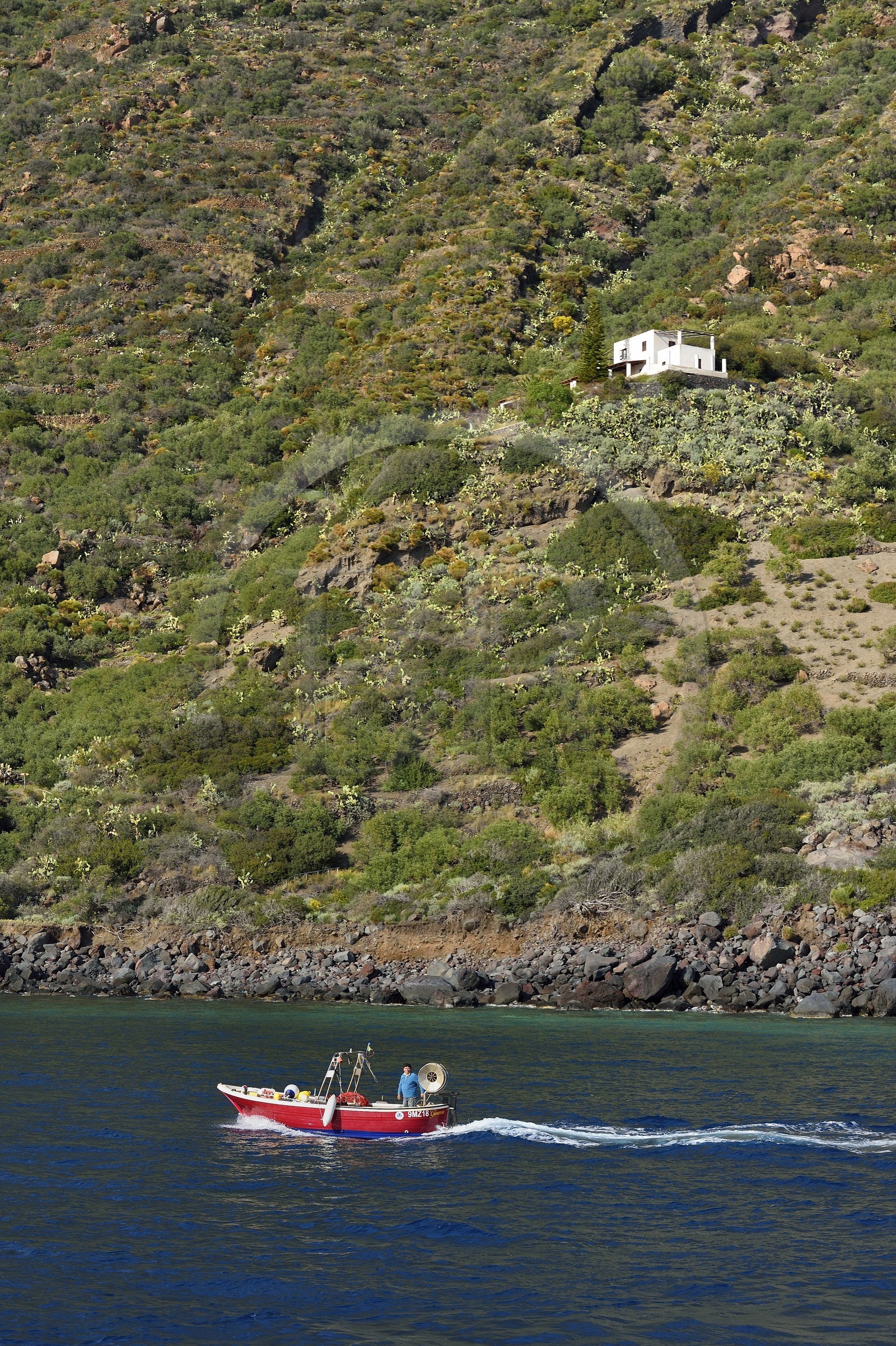Italie, Sicile, iles Eoliennes, classées Patrimoine Mondial de l'UNESCO, Ile de Salina, pêcheur dans son bateau rentrant au port de Rinella