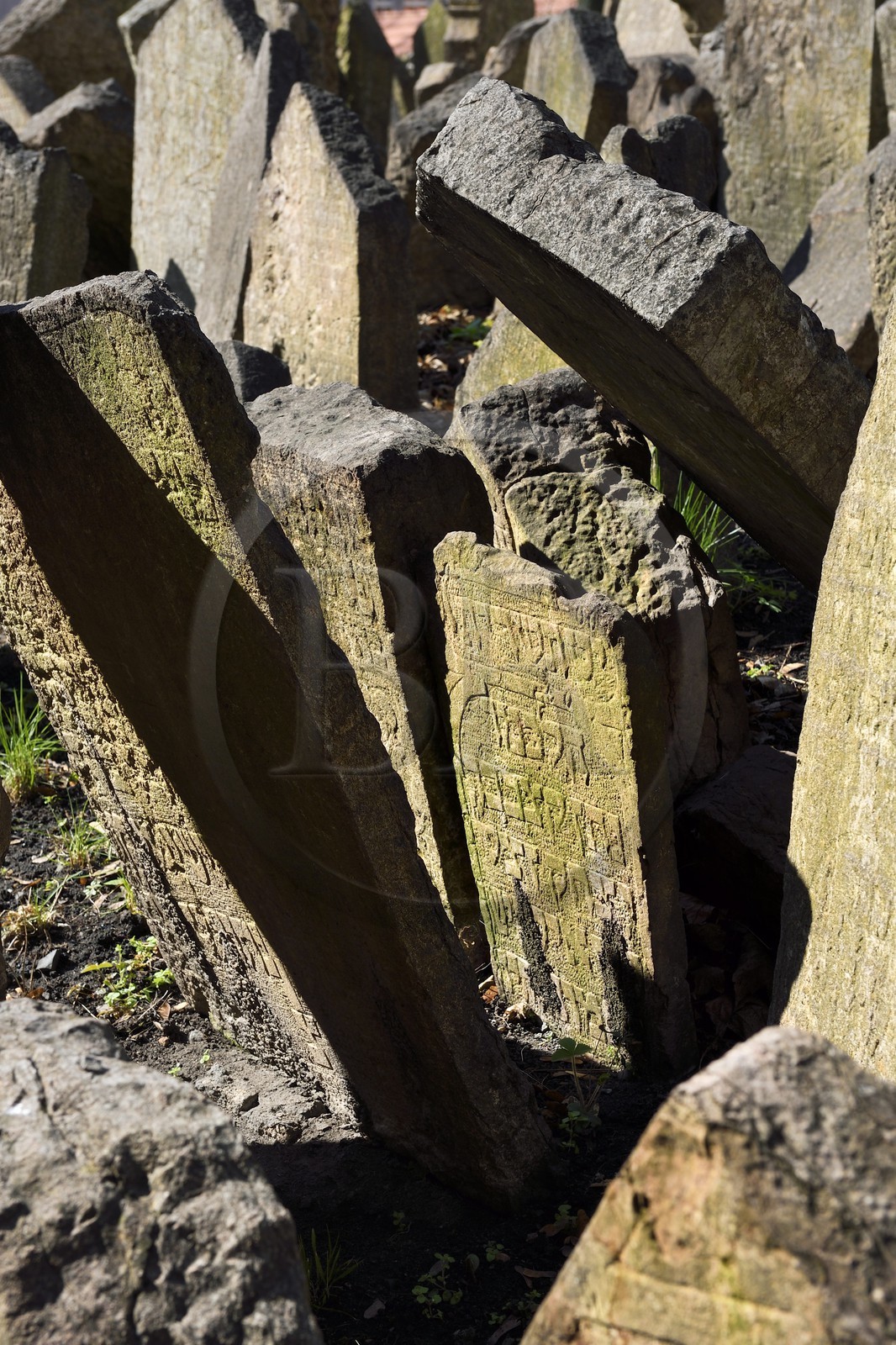 République Tchèque, Prague, centre historique classé Patrimoine Mondial de l'UNESCO, quartier juif de Josefov, cimetière juif