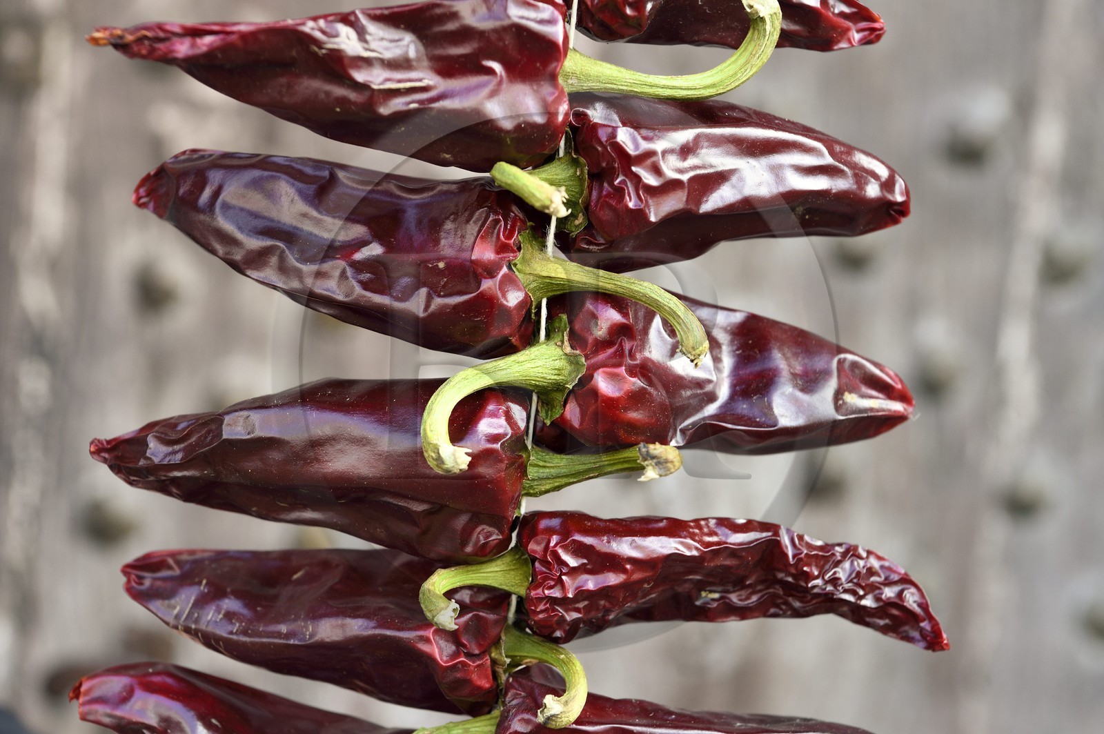 France, Pyrénées-Atlantiques (64), Pays-Basque, Espelette, corde de piments d'Espelette AOP