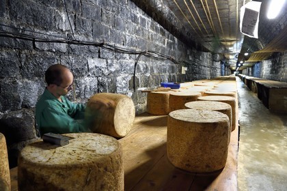 France, Cantal (15), La Chapelle-Laurent, cave d'affinage pour les fromages Marcel Charrade dans l'ancien tunnel ferroviaire de la ligne Saint-Flour - Brioude long d’un kilomètre, l'affineur Gautier Bouchet pratique le retournement des meules de fromage Cantal
