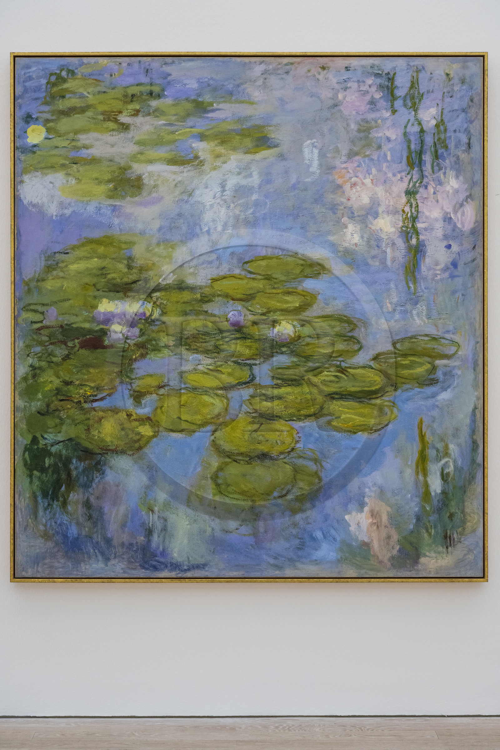 Switzerland, Basel, Riehen, Beyeler Foundation, water-lily  (1916-1919) by the painter Claude Monnet