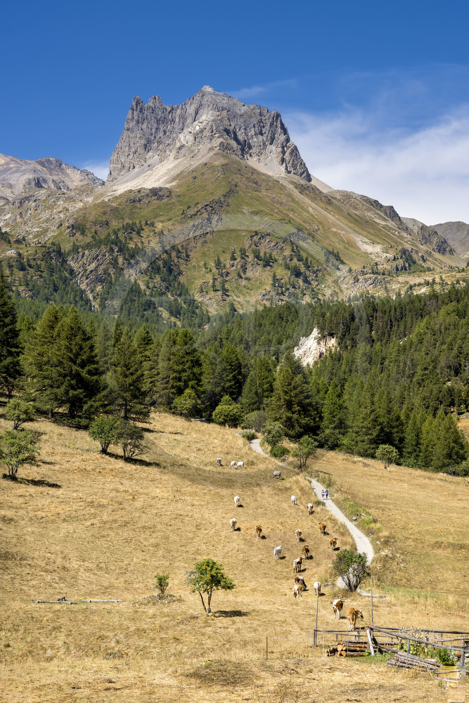 France, Hautes Alpes (05), Névache, la Vallée Étroite à la frontière italienne, hameau les Granges, le Grand Séru en arrière plan
