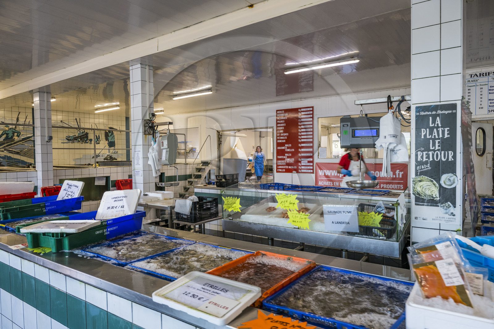 France, Finistère (29), Pays des Abers,  Lannilis, les viviers Prat-ar-Coum sur l'Aber Benoit, parc à huitres de Caroline Madec visible en arrière plan