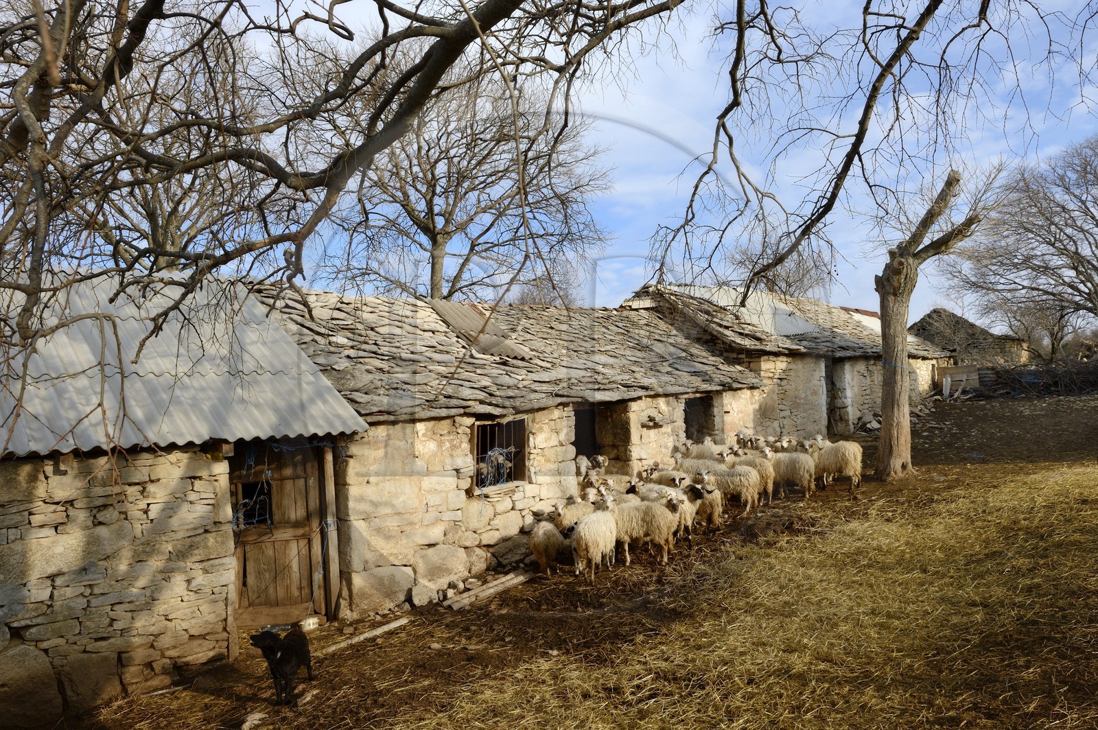 Croatie, Dalmatie, village de Gorace victime de la guerre