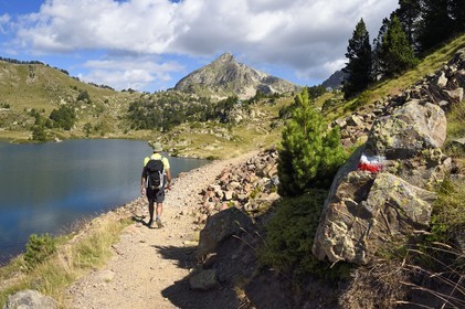 France, Hautes Pyrenees, Saint Lary Soulan and Vielle-Aure, hike on a variant of the GR10 between the Portet pass and the Bastan lakes on the edge of the Neouvielle nature reserve, middle Bastan lake and the Pic de Bastan in the background