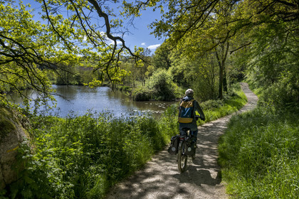 France, Vendée (85), Saint-Laurent-sur-Sèvre, randonnée cycliste sur la piste de la véloroute Vendée Vélo Tour