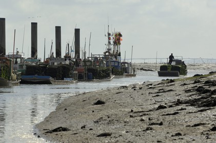 France, Charente-Maritime (17), Ile d'Oléron, le chenal d'Ors, chaland à huîtres dans le port ostréicole