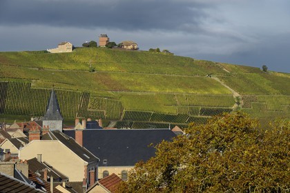 France, Marne (51), Parc Naturel Regional de la Montagne de Reims, Verzenay, vignobles de Champagne