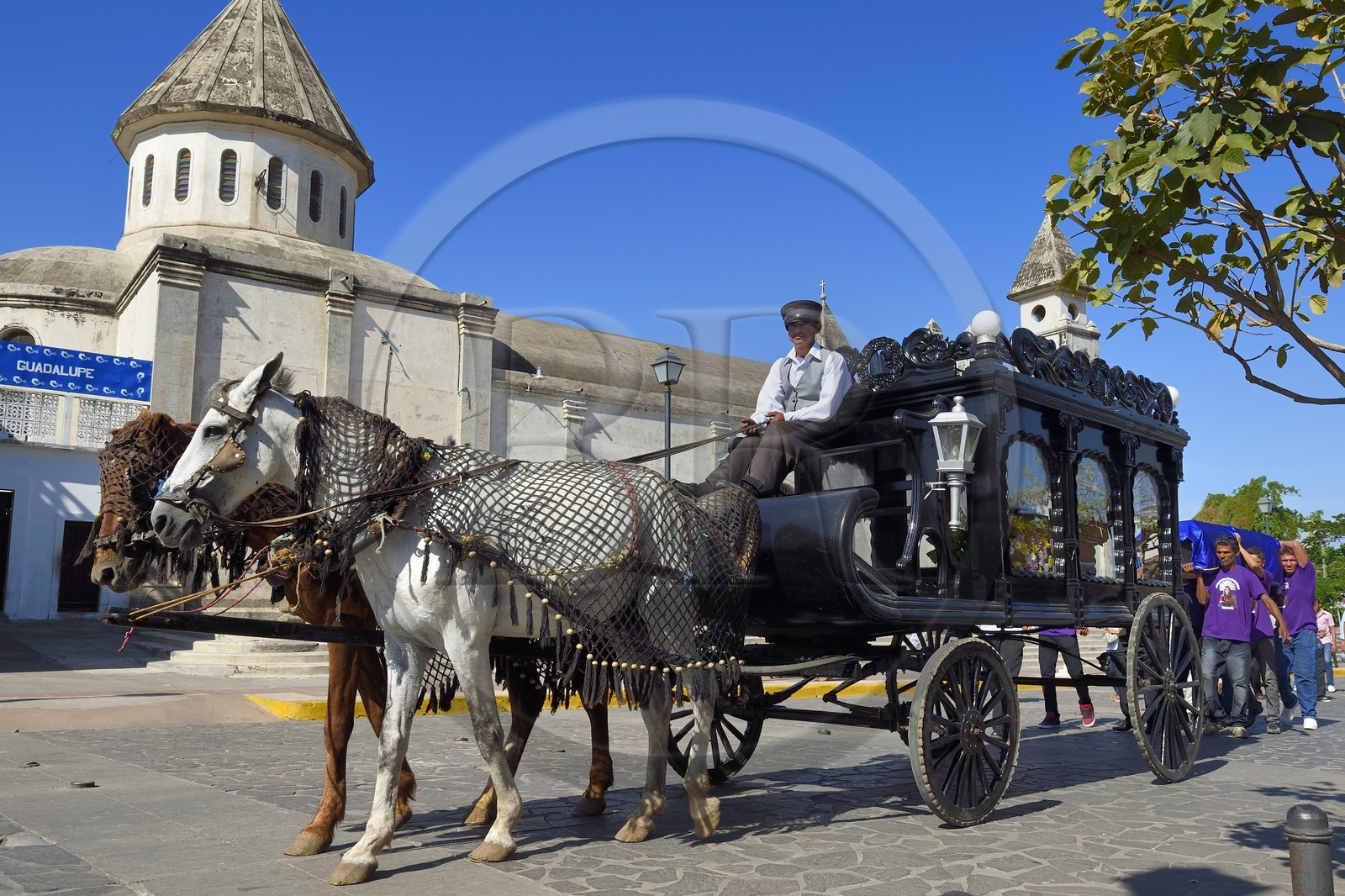 Nicaragua, Granada, corbillard traditionnel tiré par deux chevaux pour un enterrement devant l'église de Guadalupe