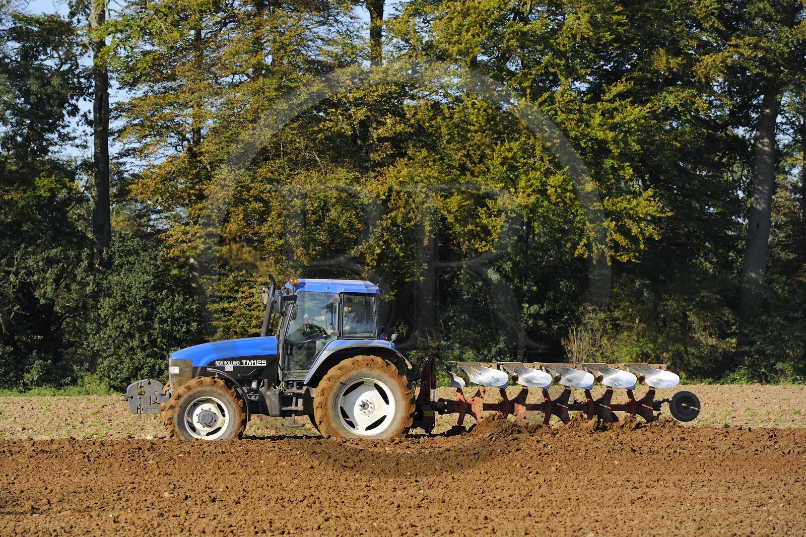 France, Seine-Maritime (76), Varengeville-sur-Mer, labour d'un champ en lisière de forêt