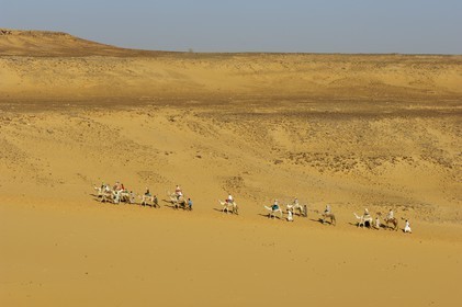 Egypt, Upper Egypt, Nubia, Nile Valley, Aswan, dromedaries on the sand dunes of the left bank