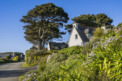 France, Côtes-d'Armor (22), Côte d'Ajoncs, Plougrescant, hameau de Porz Bugalé