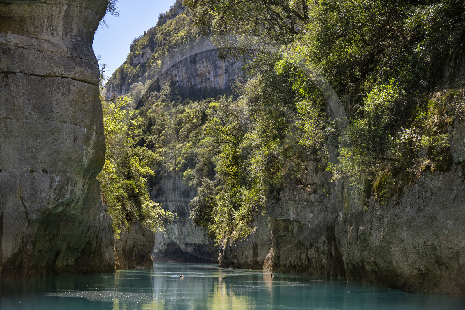 Var (83) rive gauche et Alpes-de-Haute-Provence (04) rive droite, Parc Naturel Régional du Verdon, Basses Gorges du Verdon en aval du lac de Sainte Croix, gorges de Baudinard