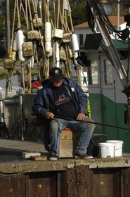 France, Charente-Maritime (17), Ile d'Oléron, port de Boyardville