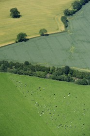 Royaume-Uni, Angleterre, Cumbrie, la campagne au sud de Penrith (vue aérienne)