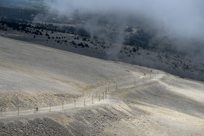 France, Vaucluse (84), Parc Naturel Régional du Mont Ventoux, Bedoin, ascension à vélo du Mont Ventoux par la route D974 sur le versant sud vers le sommet