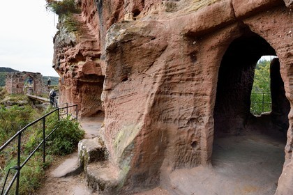 France, Bas Rhin, Northern Vosges Regional Natural Park, Lembach, Steinbach national forest, Froensbourg Castle ruins