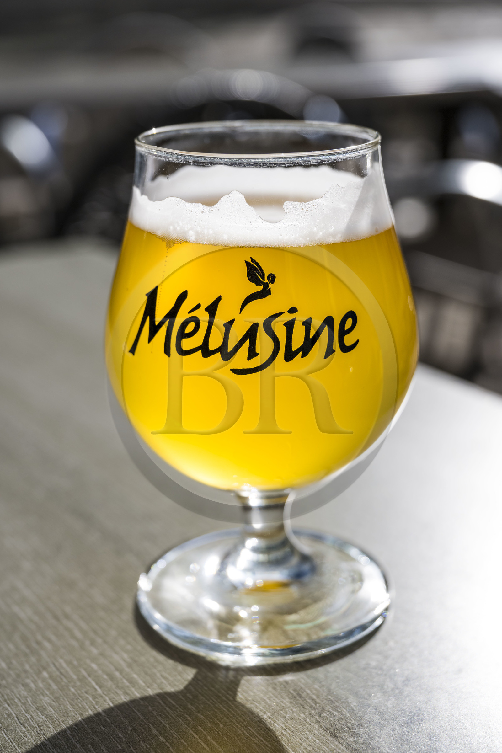 France, Vendee, Fontenay le Comte, Mélusine beer named in homage to the fairy Mélusine