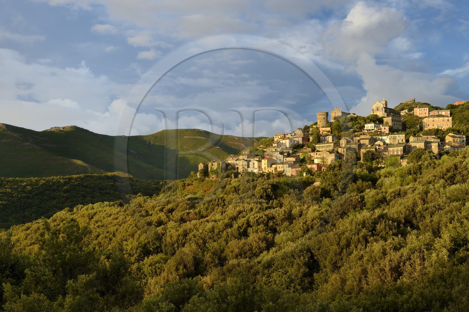 France, Haute-Corse (2B), Cap Corse, commune de Rogliano, village de Bettolacce (Bettulace) dominé par la tour génoise ronde della Parocchia, édifice fortifié du XVème siècle