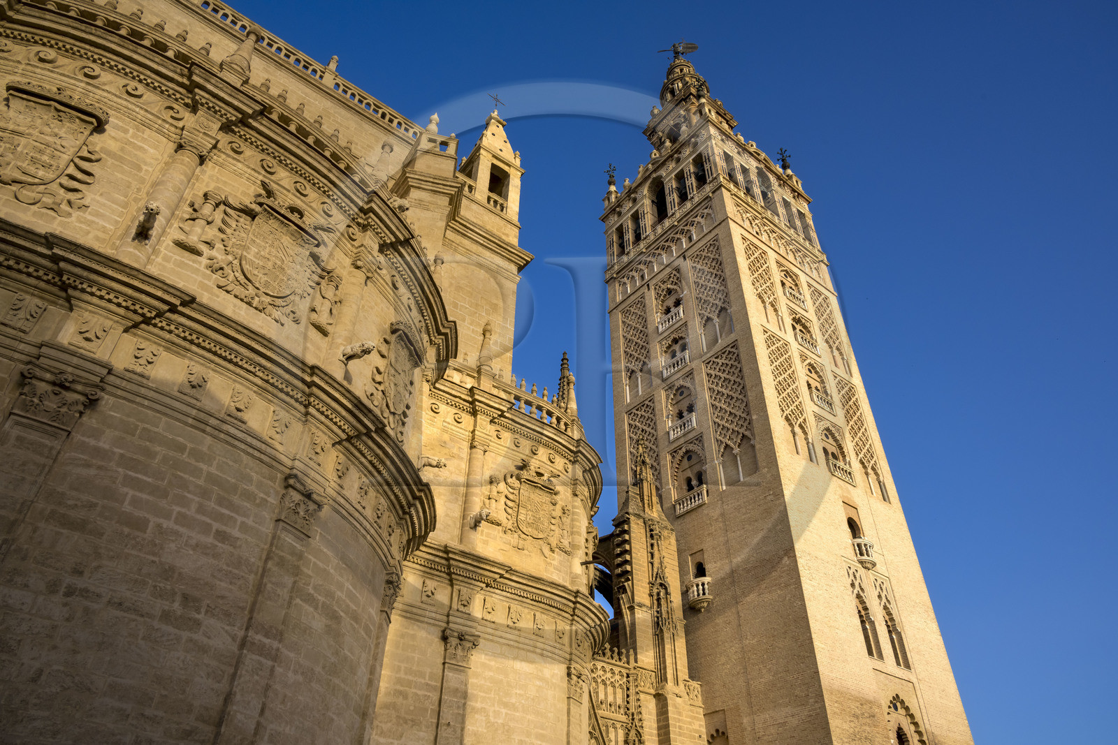 Espagne, Andalousie, Séville, quartier de Santa Cruz, la Giralda, ancien minaret almohade de la Grande Mosquée reconverti en clocher de la cathédrale, classé Patrimoine Mondial de l'UNESCO