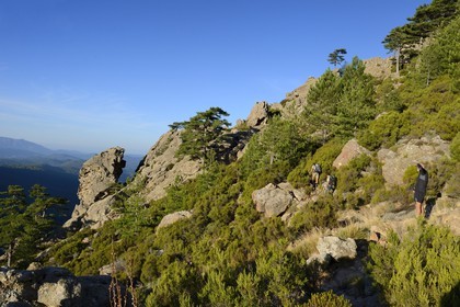 France, Corse-du-Sud (2A), Alta Rocca, Aiguilles de Bavella, randonneurs sur la variante alpine de l'étape du GR 20