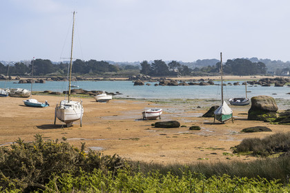 France, Côtes-d'Armor (22), Côte de Granit Rose, Trégastel, Ile Renote, la plage à marée basse