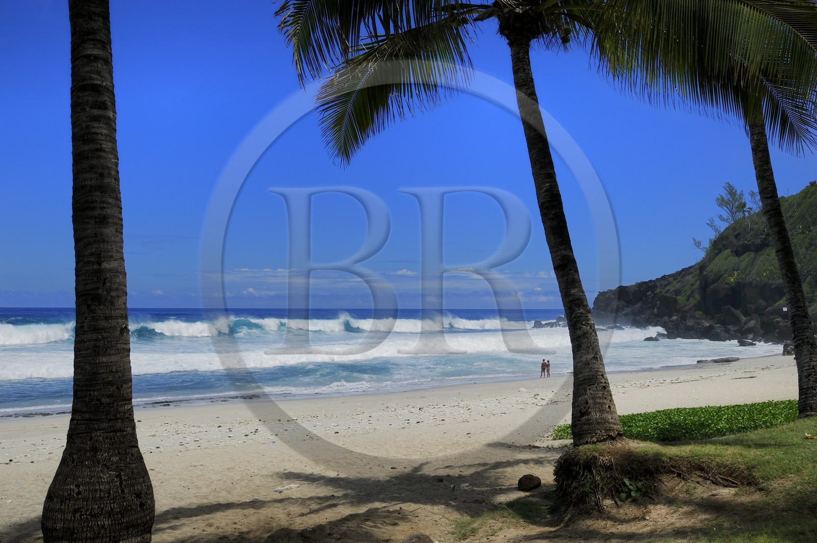 France, île de la Réunion, la côte sud, plage de Grand-Anse