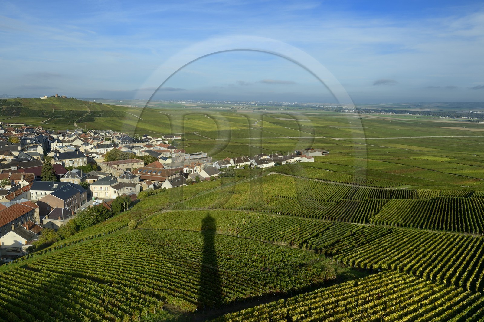 France, Marne (51), Parc Naturel de la Montagne de Reims, Verzenay, l'ombre du phare du musée du vin surplombant les vignobles de Champagne