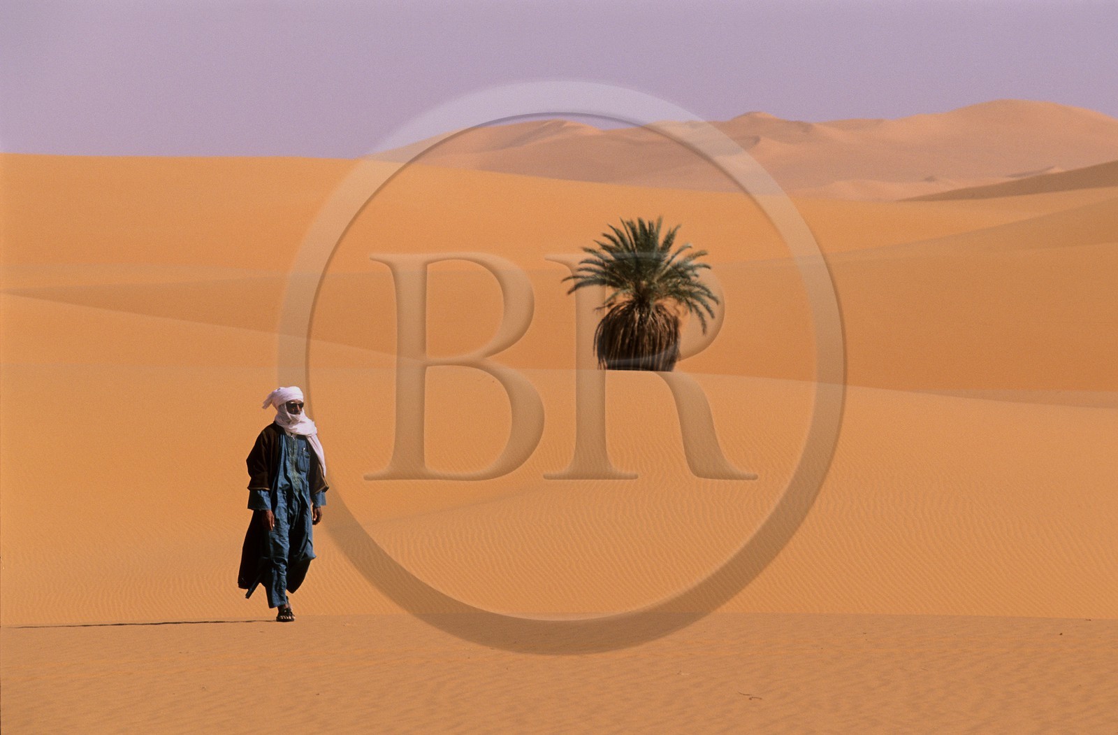 Libye, région du désert, Le Fezzan (Sahara), oasis au milieu des dunes
