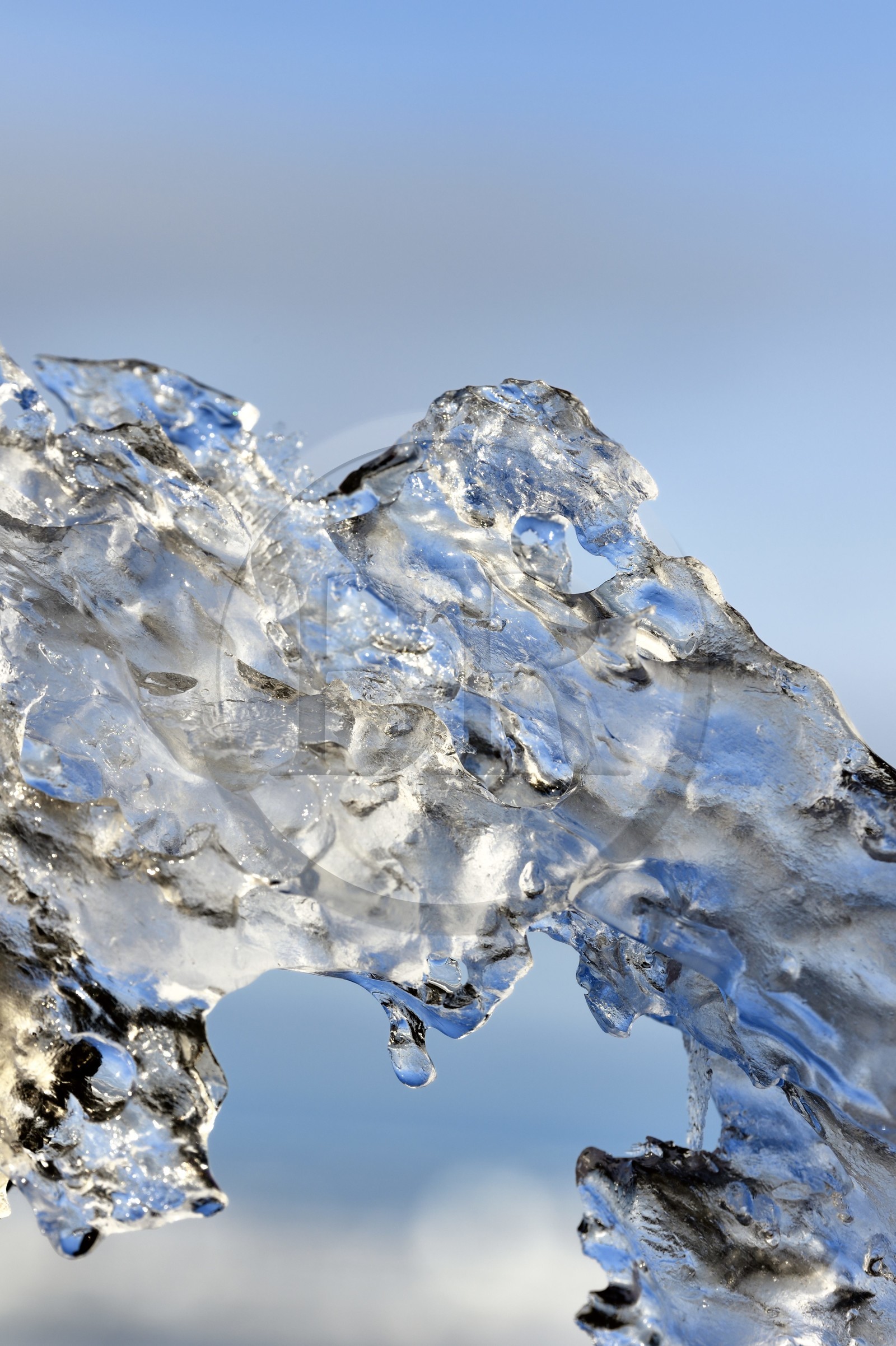 Greenland, North West coast, Smith sound, close up on a piece of ice from the Arctic sea ice that has almost completely melted (Frazil ice)