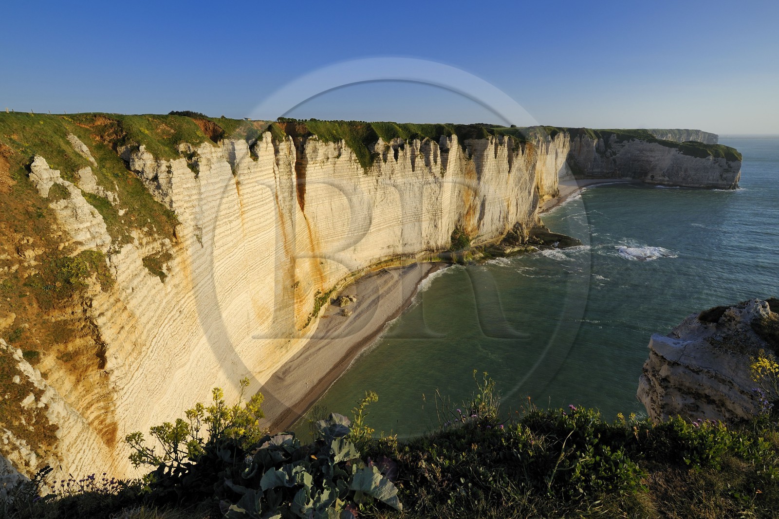 France, Seine-Maritime (76), Pays de Caux, Côte d'Albâtre, Etretat, la falaise au sud de la Manneporte