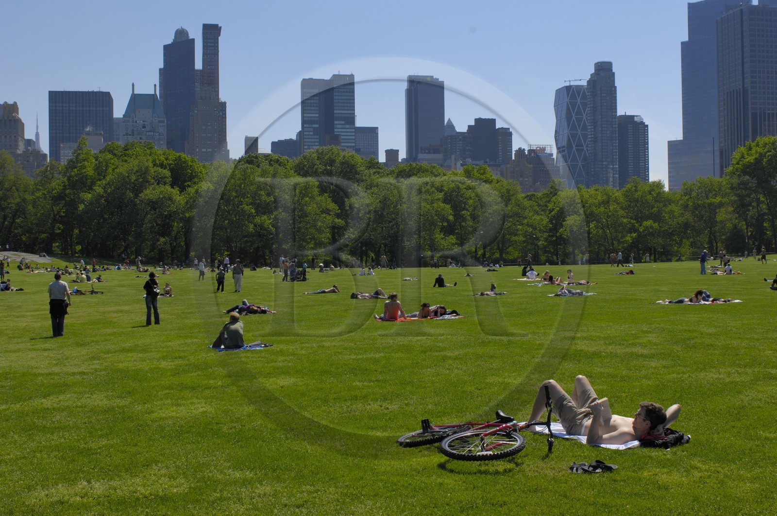 Etats-Unis, New York, Central park, farniente et sport le dimanche sur la pelouse The Sheep Meadow