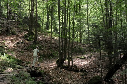 France, Vosges (88), chemin des passeurs au Donon sur la trace de la filière d'évasion du Rehtal
