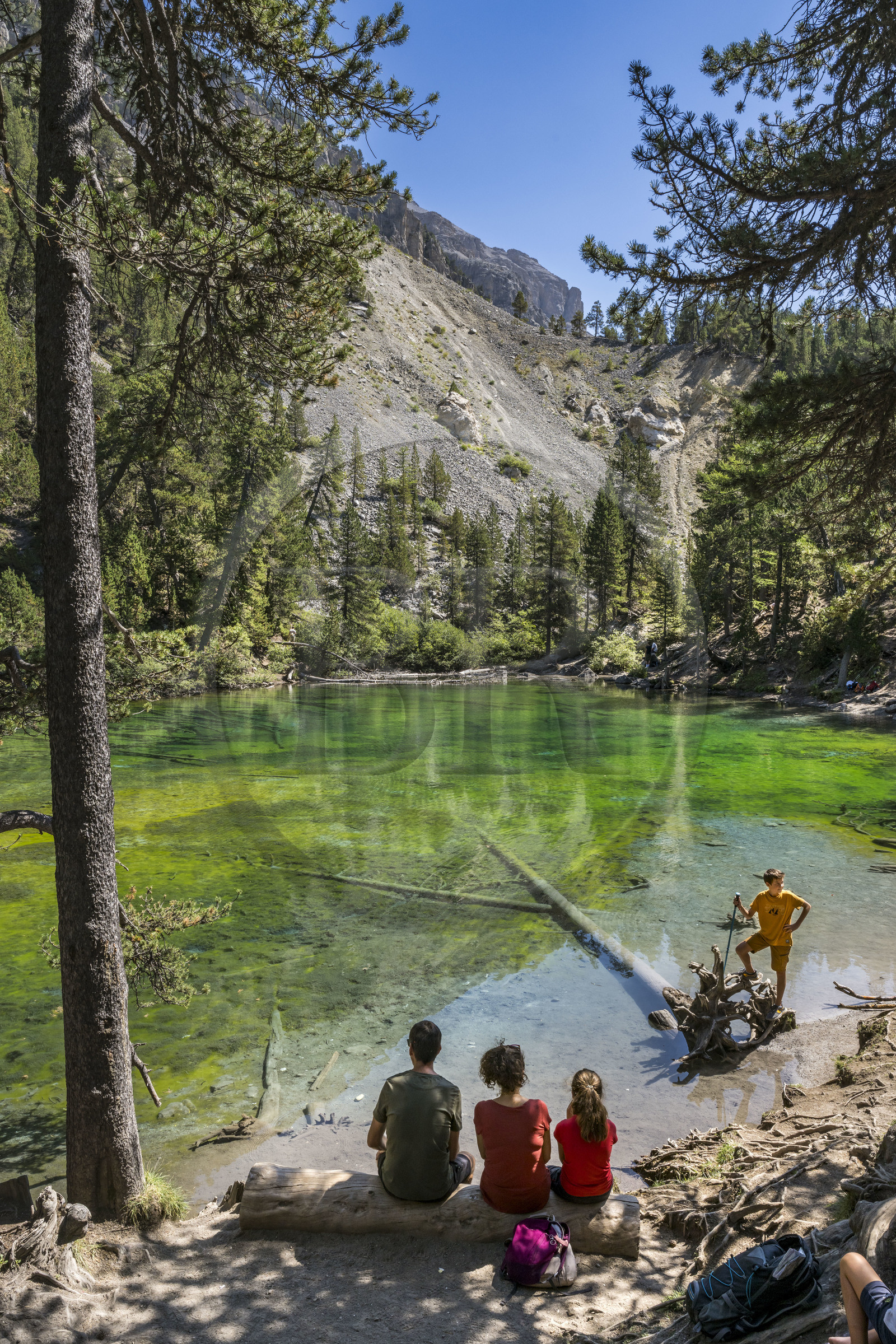 France, Hautes Alpes (05), Névache, la Vallée Étroite à la frontière italienne, le lac Vert (alt. 1834 m)