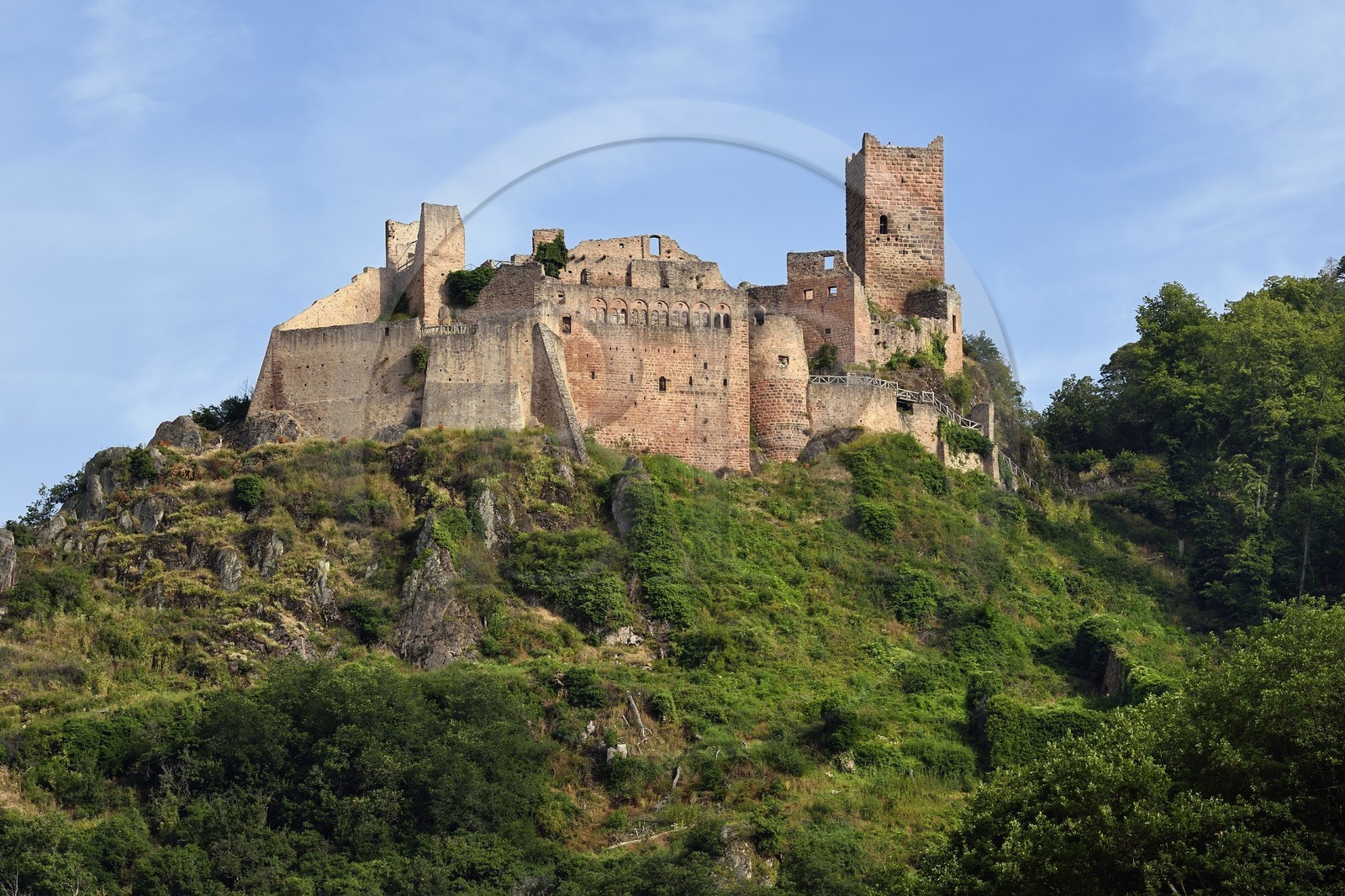 France, Haut-Rhin (68), Route des vins d'Alsace, Ribeauvillé, chateau Saint-Ulrich, résidence des Ribeaupierre jusqu'au XVe siècle