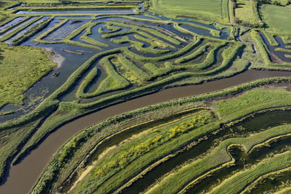 France, Vendée (85), Talmont-Saint-Hilaire, marais de la Guittière dans l'arrière pays de la Pointe du Payré, passage du Cul d’Ane, marais aménagés pour la pisciculture de dorades, mulets et anguilles (vue aérienne)