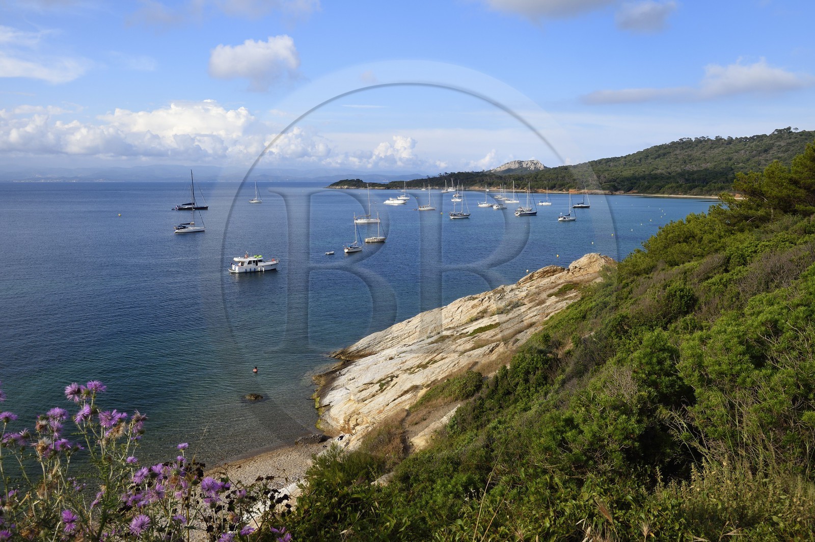 France, Var (83), Iles d'Hyères, parc national de Port Cros, Ile de Porquerolles, plage de la Courtade