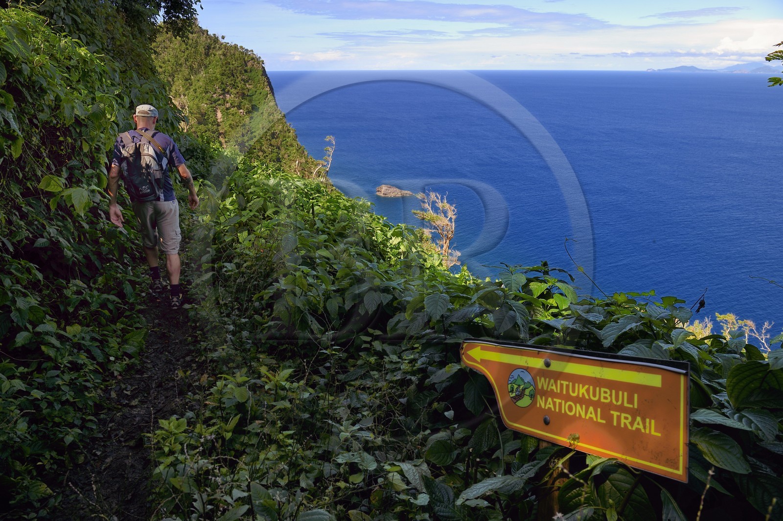 Caribbean, Dominica Island, hiker on segment 13 of the Waitukubuli National Trail in the north of the island between Pennville and Capuchin, Les Saintes in French Guadeloupe in the background