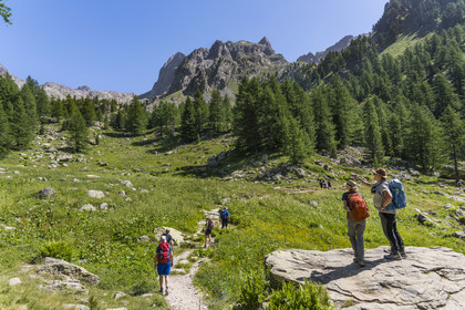 France, Alpes-Maritimes (06), parc national du Mercantour, Haute-Vésubie, Saint-Martin-Vésubie, Val du Haut Boréon, randonnée sur le GR 52 vers le refuge de Cougourde, Peïrastreche sous le Cirque de Cougourde en arrière plan