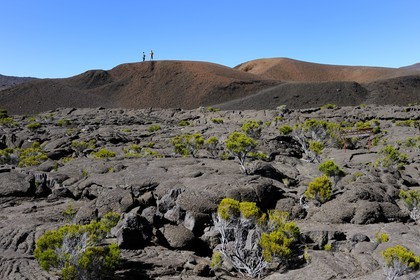 France, île de la Réunion, volcan du Piton de la Fournaise, classé Patrimoine Mondial de l'UNESCO, le cratère Formica Léo et les coulées de lave à l'intérieur de l'Enclos